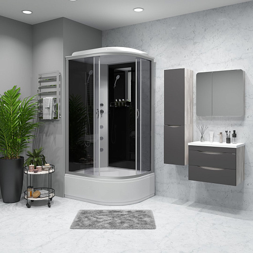 Душевая кабина Niagara Classic NG-2510-14LG (1200х800х2150) высокий поддон (40см) стекло тонированное 25101434LG Душевая кабина Niagara Classic NG-2510-14LG (1200х800х2150) высокий поддон (40см) стекло тонированное 25101434LG