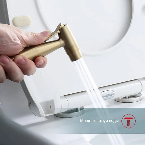 Гигиенический душ Raglo R20.52.03 встраиваемый, золотой сатин Гигиенический душ Raglo R20.52.03 встраиваемый, золотой сатин