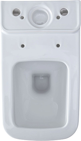 Чаша напольного унитаза Allen Brau Infinity 4.21012.20 с крышкой, белый глянец