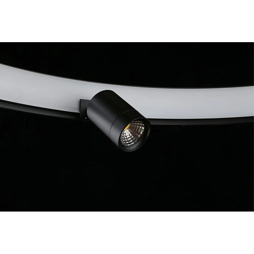 Люстра подвесная Aployt Jolanta APL.041.13.50 Люстра подвесная Aployt Jolanta APL.041.13.50