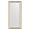 Зеркало в багетной раме Evoform Exclusive BY 3608 80 x 170 см, виньетка серебро Зеркало в багетной раме Evoform Exclusive BY 3608 80 x 170 см, виньетка серебро