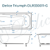 Ванна из искусственного камня Delice Triumph 170х75 DLR330011-G глянцевая Ванна из искусственного камня Delice Triumph 170х75 DLR330011-G глянцевая