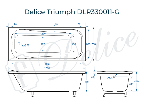 Ванна из искусственного камня Delice Triumph 170х75 DLR330011-G глянцевая Ванна из искусственного камня Delice Triumph 170х75 DLR330011-G глянцевая
