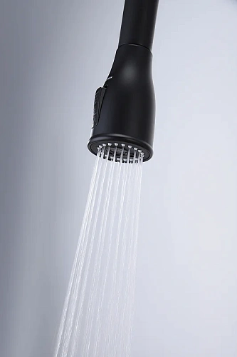 Смеситель для кухни Paulmark LANGE антрацит La214212-AN Смеситель для кухни Paulmark LANGE антрацит La214212-AN