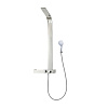 Картинка анонса товара «душевая система taliente ts1301 130x50см, хром ta-g-ts1301c»