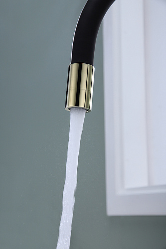 Смеситель для кухни Paulmark Salix золото Sa213419-G Смеситель для кухни Paulmark Salix золото Sa213419-G