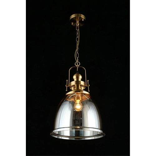 Светильник подвесной Aployt Darunia APL.629.16.01 Светильник подвесной Aployt Darunia APL.629.16.01