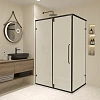 Душевой уголок RGW CL-046B 1000x800 мм 350904608-24 черный Easy Clean Душевой уголок RGW CL-046B 1000x800 мм 350904608-24 черный Easy Clean
