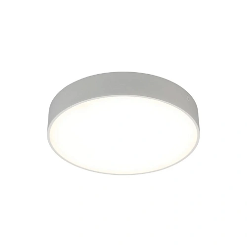 Светильник настенно-потолочный Aployt Evon APL.0114.09.24 Светильник настенно-потолочный Aployt Evon APL.0114.09.24