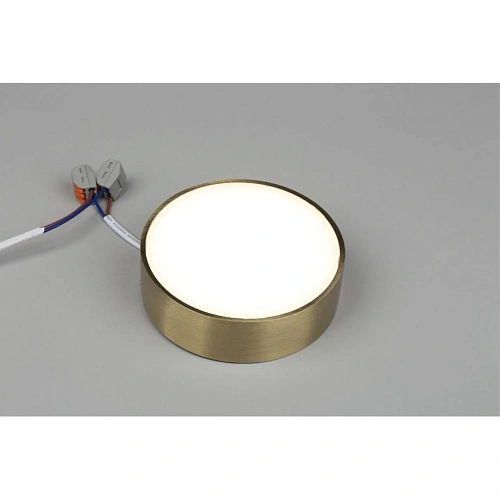 Светильник настенно-потолочный Aployt Evon APL.0114.29.12 Светильник настенно-потолочный Aployt Evon APL.0114.29.12