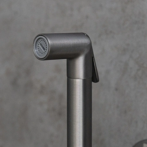 Гигиенический душ Lemark Solo LM7171GM, встраиваемый, графит Гигиенический душ Lemark Solo LM7171GM, встраиваемый, графит