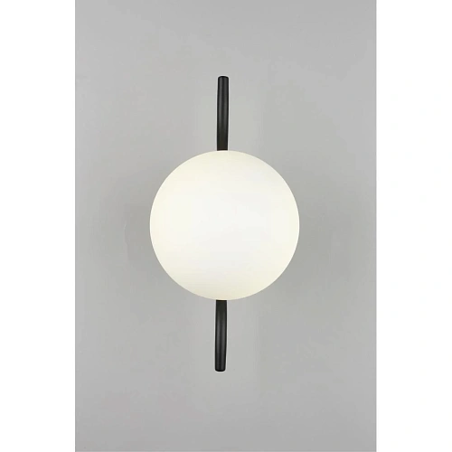 Светильник настенный (Бра) Aployt Jagna APL.312.01.01 Светильник настенный (Бра) Aployt Jagna APL.312.01.01