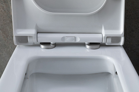 Чаша напольного унитаза Allen Brau Infinity 4.21012.20 с крышкой, белый глянец