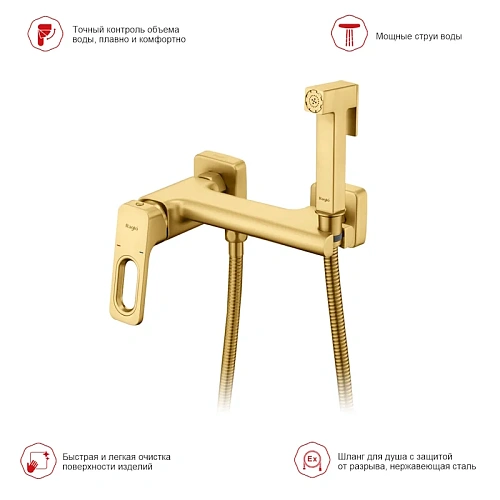 Гигиенический душ Raglo R51.51.03 настенный, сатин золотой Гигиенический душ Raglo R51.51.03 настенный, сатин золотой