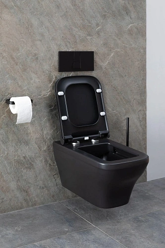 Унитаз подвесной Allen Brau Infinity 4.21011.31 с крышкой, черный матовый Унитаз подвесной Allen Brau Infinity 4.21011.31 с крышкой, черный матовый