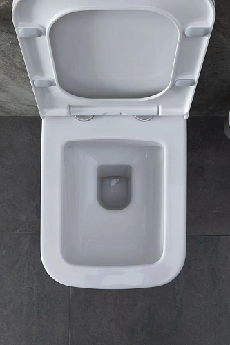 Комплект унитаза Allen Brau Infinity 4.21011.20/8.9466.0.000.000.1 (00316506) с инсталляцией, белый глянец Комплект унитаза Allen Brau Infinity 4.21011.20/8.9466.0.000.000.1 (00316506) с инсталляцией, белый глянец