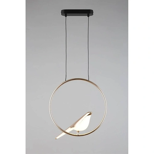 Светильник подвесной Aployt Astor APL.822.06.10 Светильник подвесной Aployt Astor APL.822.06.10