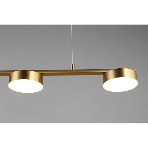 Люстра подвесная Aployt Usia APL.047.13.35 Люстра подвесная Aployt Usia APL.047.13.35