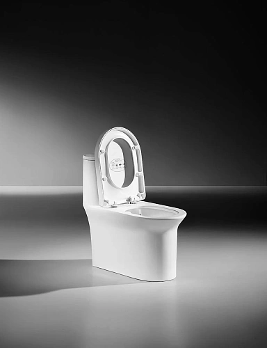 Унитаз напольный ARROW AB1802H белый без сиденья Унитаз напольный ARROW AB1802H белый без сиденья