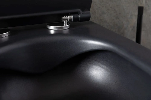 Унитаз подвесной Allen Brau Reality 4.32006.31 с крышкой, черный матовый Унитаз подвесной Allen Brau Reality 4.32006.31 с крышкой, черный матовый