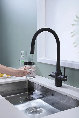 Смеситель для кухни Paulmark SALIX антрацит Sa213419-AN Смеситель для кухни Paulmark SALIX антрацит Sa213419-AN