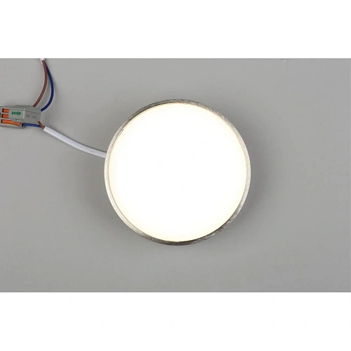 Светильник настенно-потолочный Aployt Evon APL.0114.19.12 Светильник настенно-потолочный Aployt Evon APL.0114.19.12