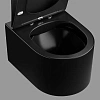 Унитаз подвесной Ceruttispa TANARO Aria MB CT9238 безободковый черный матовый, сиденье микролифт Унитаз подвесной Ceruttispa TANARO Aria MB CT9238 безободковый черный матовый, сиденье микролифт