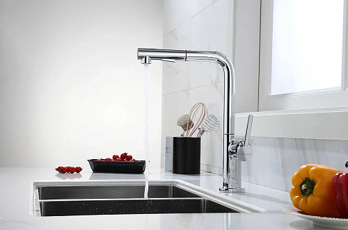 Смеситель для кухни Paulmark Neo хром Ne214419-CR Смеситель для кухни Paulmark Neo хром Ne214419-CR