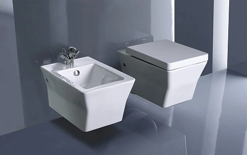 Унитаз подвесной Jacob Delafon Reve E4811-00 с сиденьем микролифт Унитаз подвесной Jacob Delafon Reve E4811-00 с сиденьем микролифт