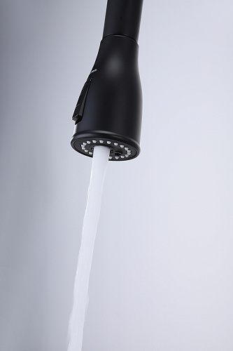 Смеситель для кухни Paulmark LANGE антрацит La214212-AN Смеситель для кухни Paulmark LANGE антрацит La214212-AN