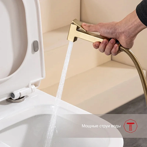 Гигиенический душ Raglo R51.51.03 настенный, сатин золотой Гигиенический душ Raglo R51.51.03 настенный, сатин золотой