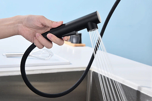 Смеситель для кухни Paulmark NEO антрацит Ne214419-AN Смеситель для кухни Paulmark NEO антрацит Ne214419-AN