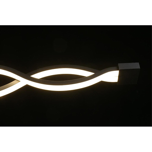 Светильник настенно-потолочный Aployt Nadayn APL.002.12.36 Светильник настенно-потолочный Aployt Nadayn APL.002.12.36