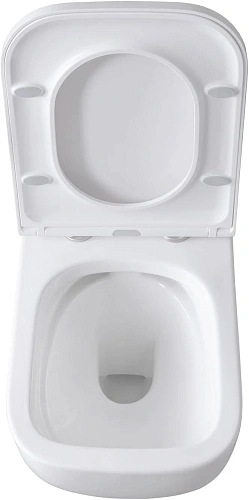 Комплект унитаза Allen Brau Infinity 4.21004.20/8.9466.0.000.000.1 (00316505) с инсталляцией, белый глянец Комплект унитаза Allen Brau Infinity 4.21004.20/8.9466.0.000.000.1 (00316505) с инсталляцией, белый глянец