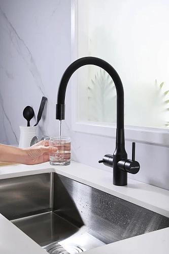 Смеситель для кухни Paulmark SALIX черный Sa213419-BLM Смеситель для кухни Paulmark SALIX черный Sa213419-BLM