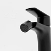 Смеситель для биде Allen Brau Eclipse 2.0 5.E1A10-31 черный матовый Смеситель для биде Allen Brau Eclipse 2.0 5.E1A10-31 черный матовый
