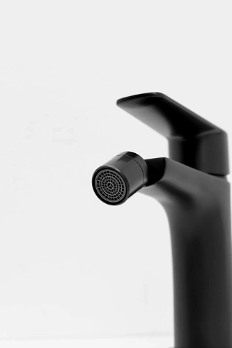 Смеситель для биде Allen Brau Eclipse 2.0 5.E1A10-31 черный матовый Смеситель для биде Allen Brau Eclipse 2.0 5.E1A10-31 черный матовый