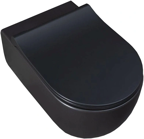 Унитаз подвесной Allen Brau Priority 4.31001.31 с крышкой, черный матовый Унитаз подвесной Allen Brau Priority 4.31001.31 с крышкой, черный матовый