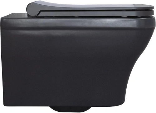 Унитаз подвесной Allen Brau Infinity 4.21011.AN с крышкой, антрацит Унитаз подвесной Allen Brau Infinity 4.21011.AN с крышкой, антрацит