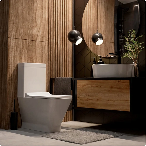 Унитаз напольный AQUAme AQM1005PRO Rimless c сиденьем SoftClose, белый глянец Унитаз напольный AQUAme AQM1005PRO Rimless c сиденьем SoftClose, белый глянец