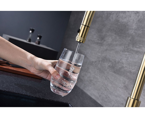 Смеситель для кухни Paulmark GALANT Ga213077-LG светлое золото Смеситель для кухни Paulmark GALANT Ga213077-LG светлое золото