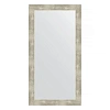 Зеркало в багетной раме Evoform Definite BY 3076 54 x 104 см, алюминий