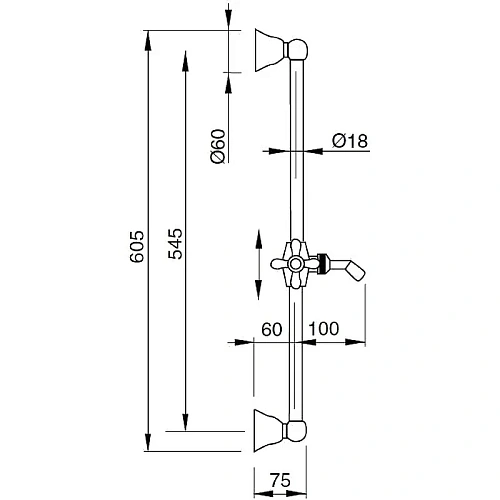 Душевая штанга Cezares Lord (LORD-SD-03/24-Bi) золото 24 карат Душевая штанга Cezares Lord (LORD-SD-03/24-Bi) золото 24 карат