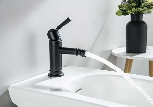 Смеситель для биде Aquatek КЛАССИК AQ1518MB Черный матовый Смеситель для биде Aquatek КЛАССИК AQ1518MB Черный матовый