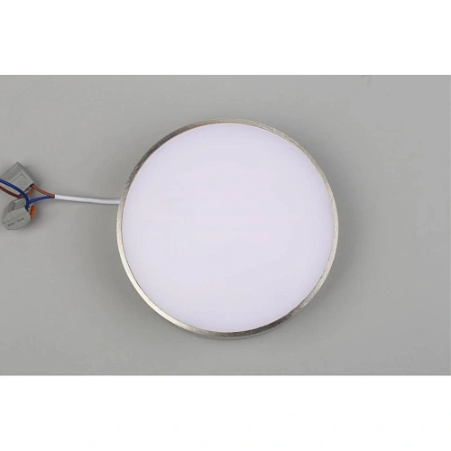 Светильник настенно-потолочный Aployt Evon APL.0114.19.18 Светильник настенно-потолочный Aployt Evon APL.0114.19.18