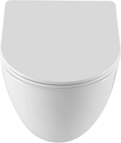 Комплект унитаза Allen Brau Priority 306274+348381 с инсталляцией Комплект унитаза Allen Brau Priority 306274+348381 с инсталляцией