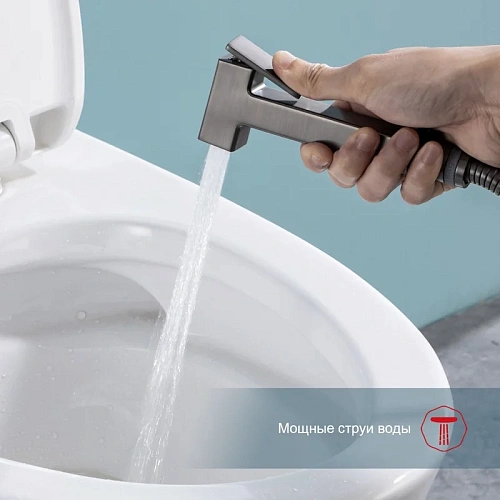 Гигиенический душ Raglo R51.55.09 встраиваемый с полкой и держателем бумаги, графит Гигиенический душ Raglo R51.55.09 встраиваемый с полкой и держателем бумаги, графит