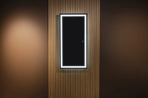 Зеркало SILVER MIRRORS 600x1200 Сенсорный выключатель гор/верт Лира (ФР-00002160) Зеркало SILVER MIRRORS 600x1200 Сенсорный выключатель гор/верт Лира (ФР-00002160)