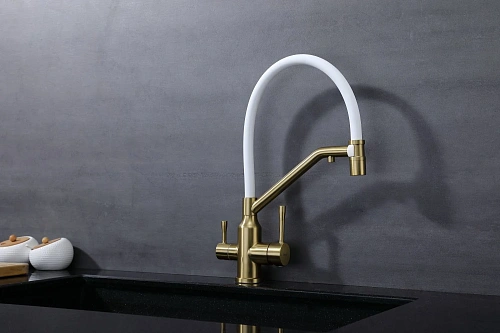 Смеситель для кухни Raglo R81.62.03 с гибким изливом с подключением к фильтру, золотой сатин Смеситель для кухни Raglo R81.62.03 с гибким изливом с подключением к фильтру, золотой сатин
