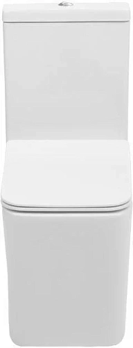 Чаша напольного унитаза Aquanet Rimless Tavr-C1 BL-103N-TPT TAVR-C1 с сиденьем Чаша напольного унитаза Aquanet Rimless Tavr-C1 BL-103N-TPT TAVR-C1 с сиденьем